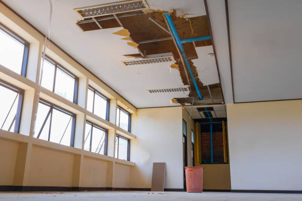 Best Carpet water damage restoration  in Canton, MO