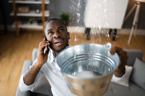 Best Sewage cleanup and water damage restoration  in Canton, MO