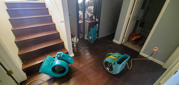 Best Water damage restoration company  in Canton, MO
