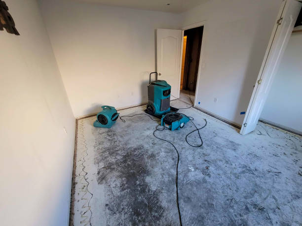 Best Flood restoration services  in Canton, MO