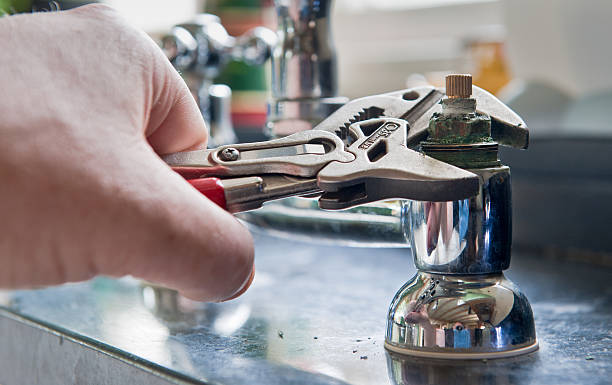 Best Flood damage cleanup  in Canton, MO